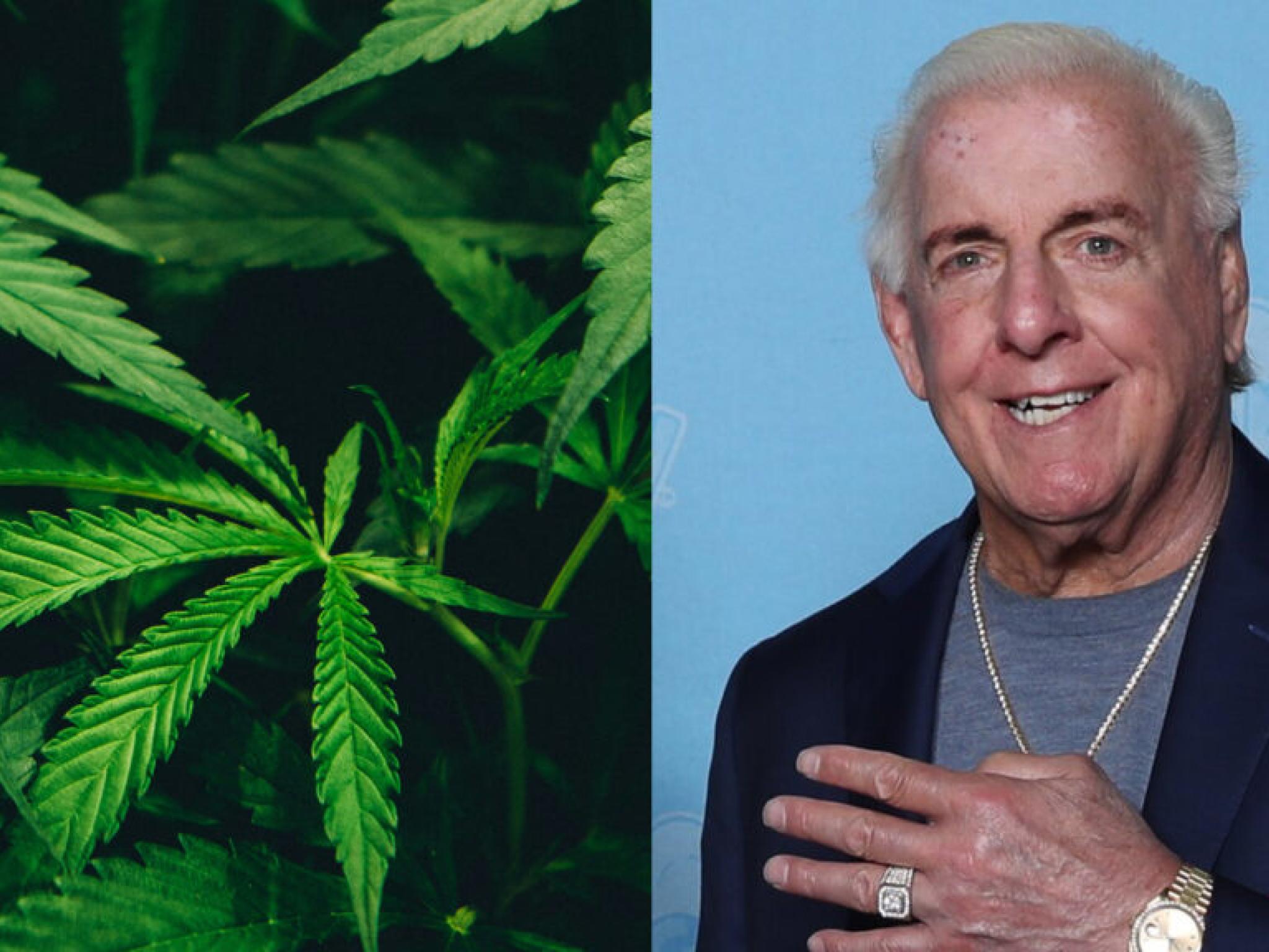 Ric Flair Will Visit California Dispensary On 4/20 For Debut Of His Cannabis Brand, But First Meet Him At The Benzinga Conference In Florida