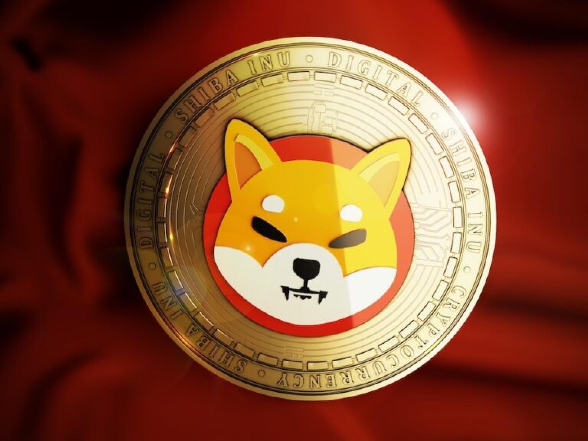 Shiba Inu Token Now Eligible For Cross-Chain Lending, Borrowing Supported By Chainlink